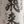 Koshitsukano - Hirai Junmai (720mL)